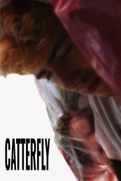 Catterfly