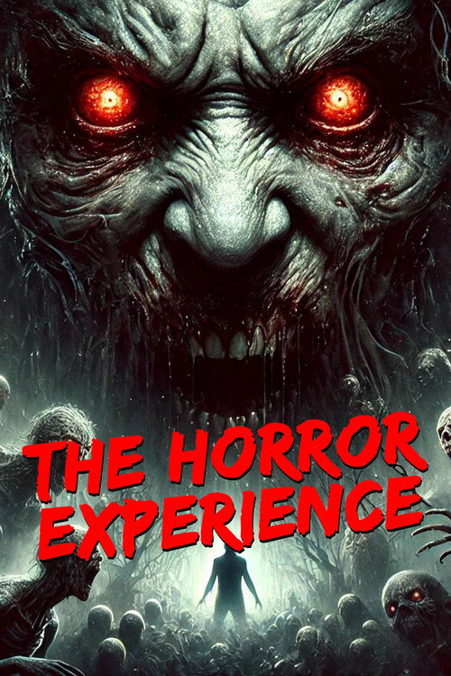 The Horror Experience