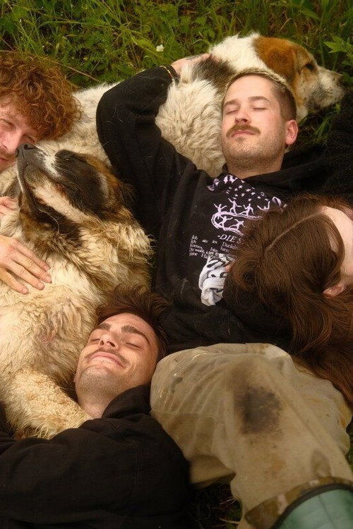 Animal Bridge - Every soul needs a home