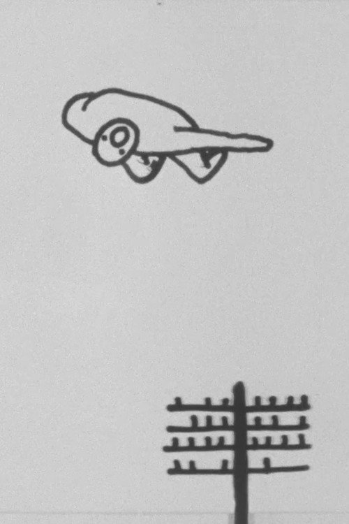The Man Who Flew