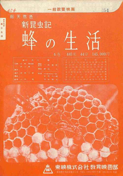 新昆虫記―蜂の生活