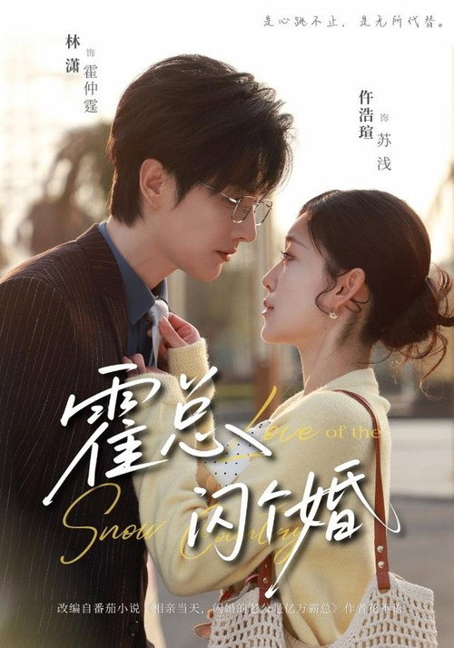 霍总，闪个婚