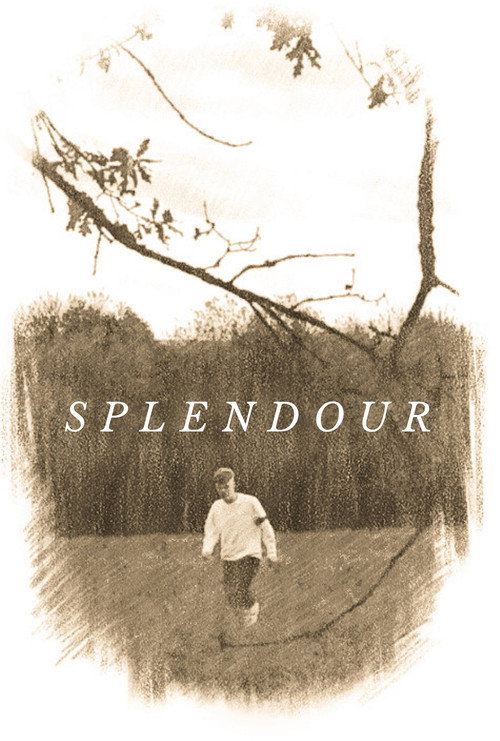 Splendour