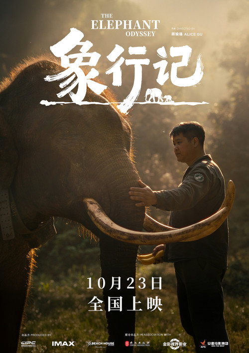 The Elephant Odyssey