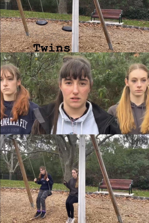 Twins