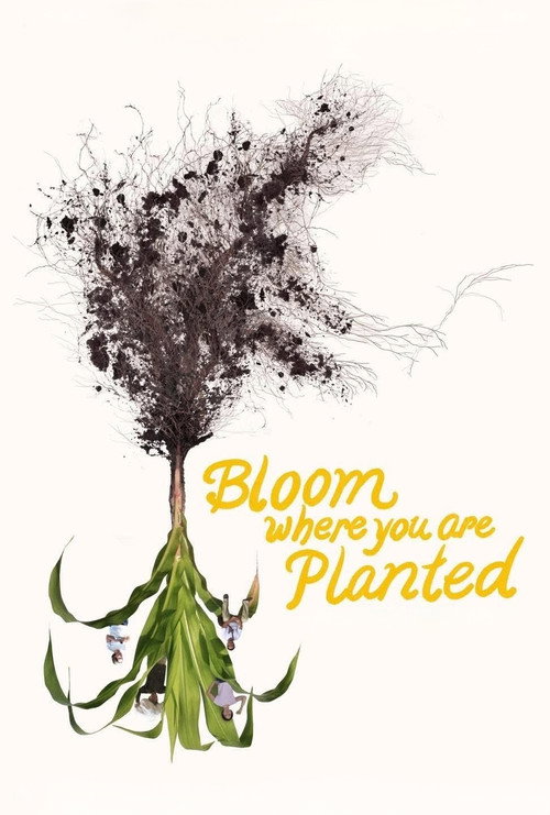 Bloom Where You Are Planted
