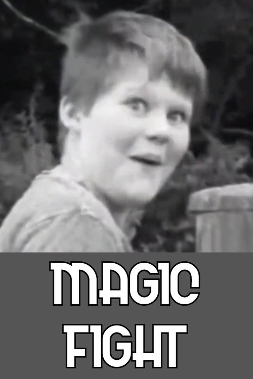 Magic Fight